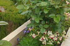 697 generalife untere gärten